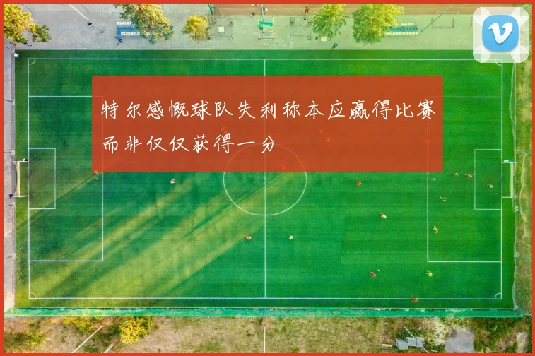 特尔感慨球队失利称本应赢得比赛而非仅仅获得一分