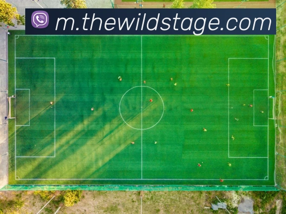 App Interface Preview